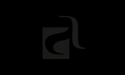 Logo Cliente